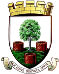 Emblema Wells City