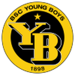 Emblema Young Boys II