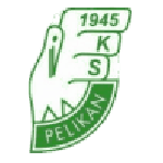 Emblema Pelikan Łowicz