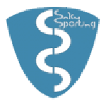 Emblema Saku Sporting