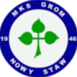 Emblema Grom Nowy Staw