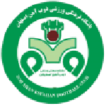 Emblema ZOB Ahan