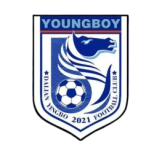 Emblema Dalian Yingbo B