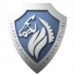 Emblema Merani Tbilisi