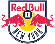 Emblema New York RB II