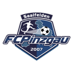 Emblema Pinzgau Saalfelden