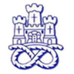Emblema Newcastle Town