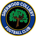 Emblema Sherwood Colliery