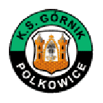 Emblema Górnik Polkowice